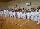 Egzamin