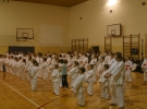 Egzamin Karate