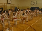 Egzamin Karate