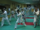 Egzamin Karate