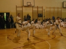 Egzamin Karate