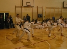 Egzamin Karate