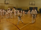Egzamin Karate