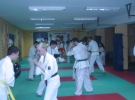 Egzamin Karate