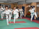 Egzamin