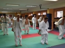 Egzamin