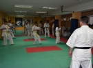 Egzamin