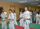 Egzamin