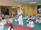 Egzamin