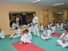 Egzamin