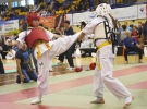 Mistrzostwa Europy Karate Kyokushin w Katowicach
