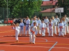 Pokaz Karate Kyokushin