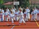 Pokaz Karate Kyokushin
