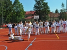Pokaz Karate Kyokushin
