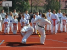 Pokaz Karate Kyokushin