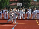 Pokaz Karate Kyokushin