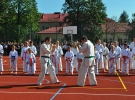 Pokaz Karate Kyokushin