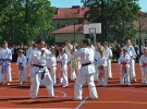 Pokaz Karate Kyokushin