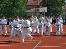 Pokaz Karate Kyokushin