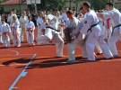 Pokaz Karate Kyokushin