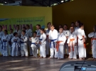 Pokaz Karate