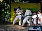 Pokaz Karate