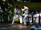 Pokaz Karate