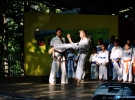 Pokaz Karate