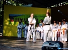 Pokaz Karate