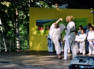 Pokaz Karate