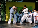 Pokaz Karate