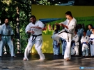 Pokaz Karate
