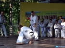 Pokaz Karate