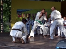 Pokaz Karate