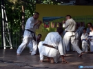 Pokaz Karate