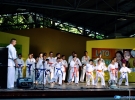 Pokaz Karate