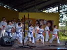 Pokaz Karate