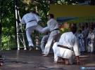Pokaz Karate
