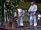 Pokaz Karate