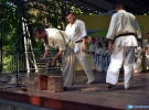 Pokaz Karate