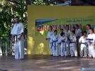Pokaz Karate