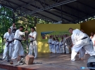 Pokaz Karate