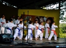Pokaz Karate