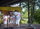 Pokaz Karate