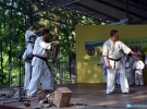 Pokaz Karate