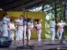Pokaz Karate