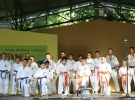 Pokaz Karate