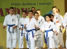Pokaz Karate