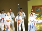 Pokaz Karate