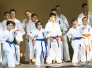 Pokaz Karate